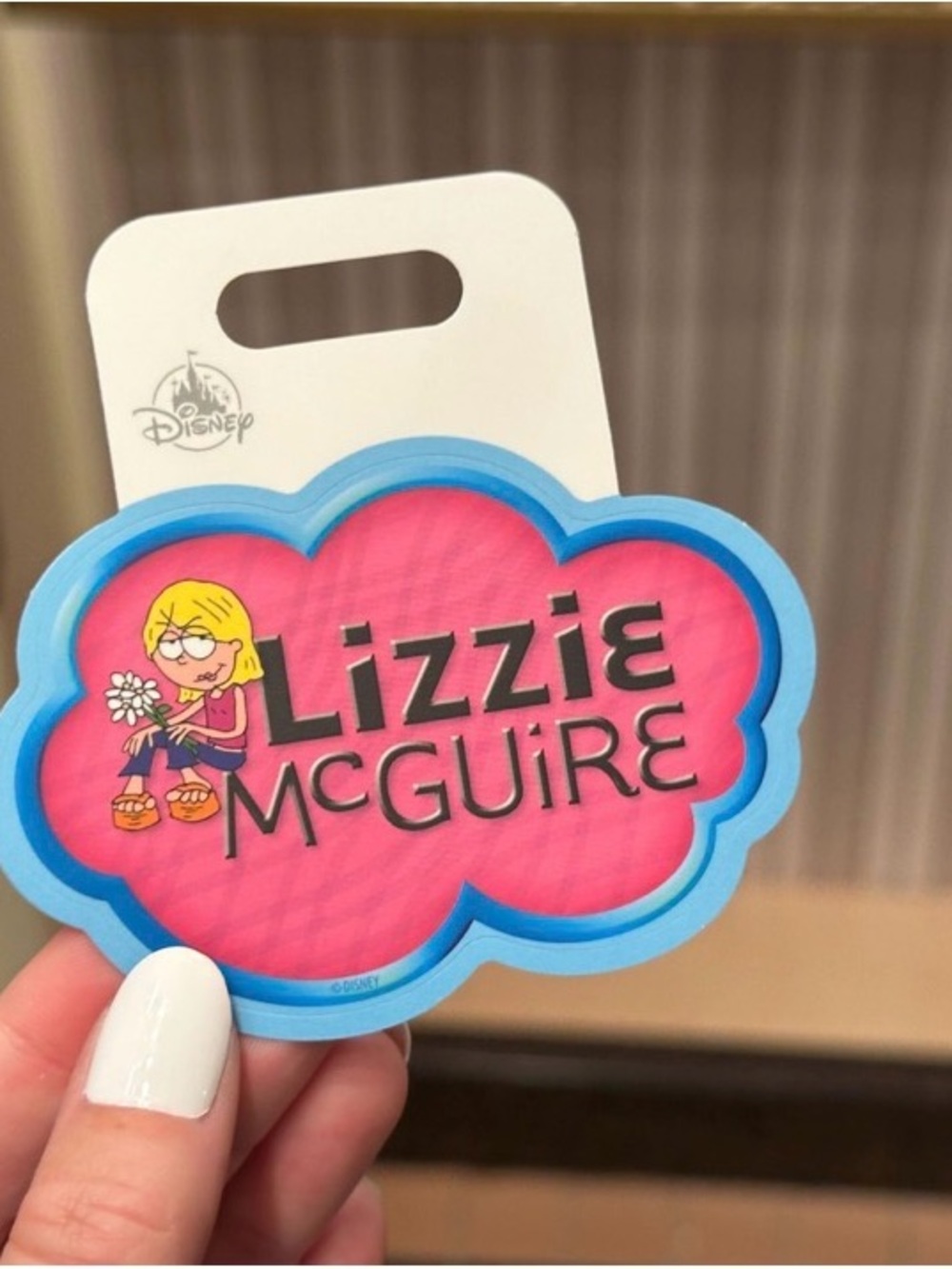 Disney Lizzie McGuire Parks Exclusive Vinyl Sticker Decal